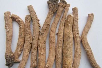 秋日养生，药香为伴 盘点十大滋补中药材