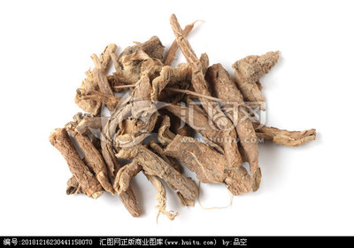 五加皮 深山里的本草韧骨