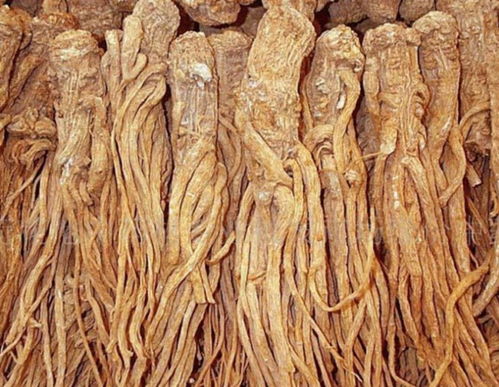 当归祛斑人参美白 细数9大经典中草药美容护肤功效